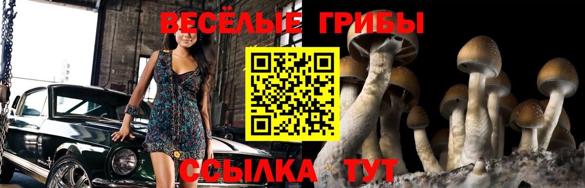 Галлюциногенные грибы Psilocybine cubensis Мичуринск